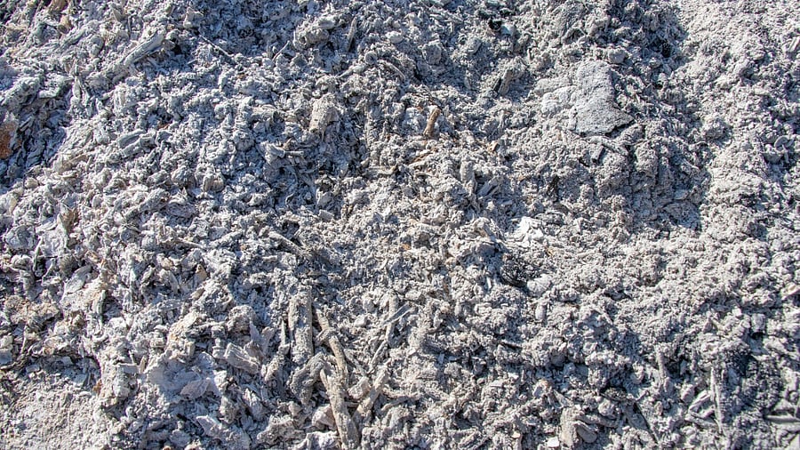 The fly ash generated at NTPC stations is ideal for use in the manufacture of cement, concrete, concrete products, cellular concrete products and for bricks/blocks and tiles. Representative image. Credit: iStock photo