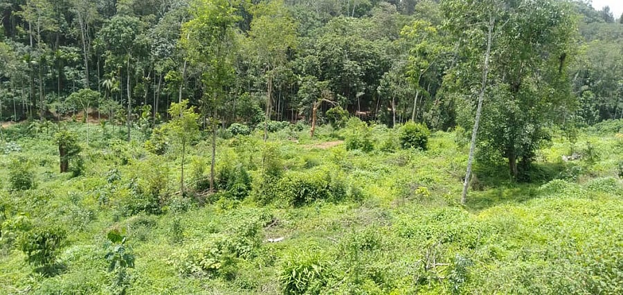 Land identified for the sites to be allocated to the flood victims.