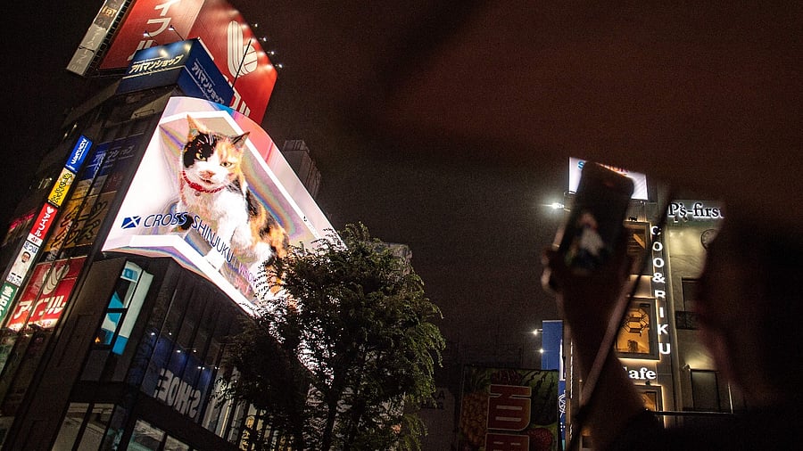 A pedestrian takes pictures of a giant cat on a screen in Tokyo's Shinjuku district as Japan announces a new virus state of emergency stretching throughout the Tokyo Olympics. Credit: AFP Photo