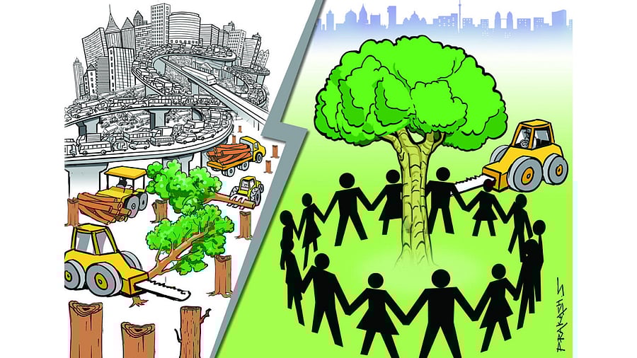 Stronger Tree Act provisions can help citizens raise informed objections on indiscriminate tree-felling for multiple projects. Credit: DH Illustration