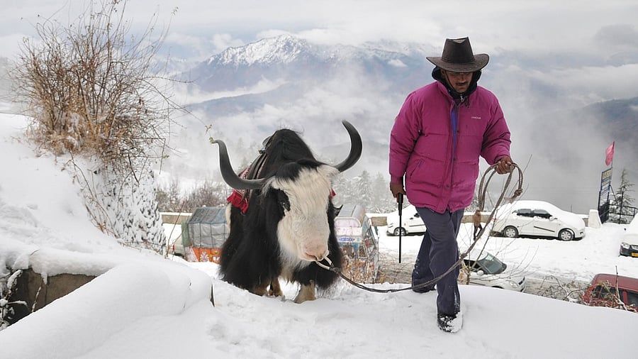 Representative image. Credit: AFP file photo