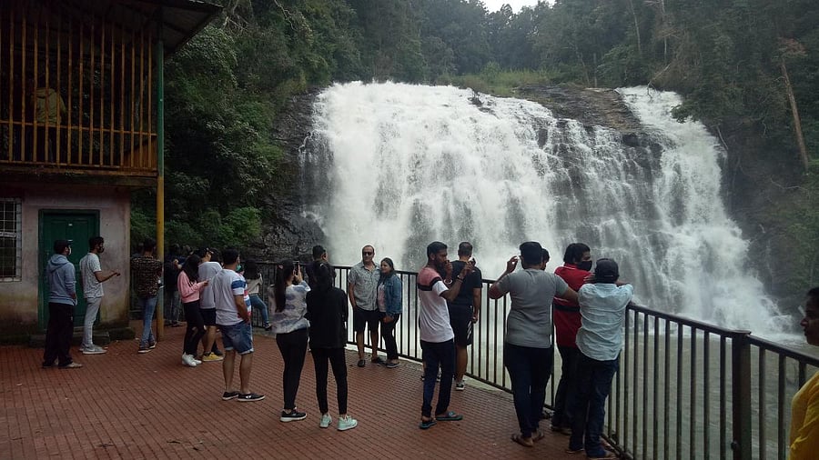 A file photo of Abbi Falls in Madikeri taluk in Kodagu district.