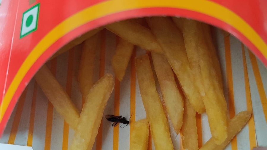 Photo of the fries shared by the customer online. Credit: Twitter/ @hemantvirmani