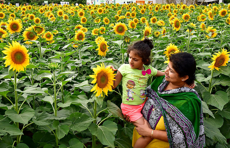 The Krishi Mela held at the GKVK, Bengaluru, last year. DH FILE PHOTO