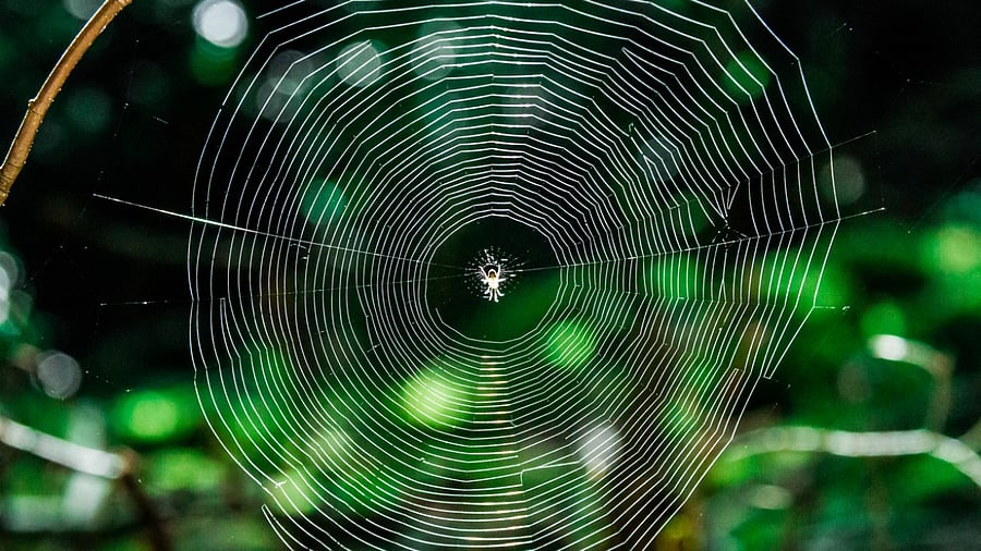 Representative image. Credit: iStock Photo