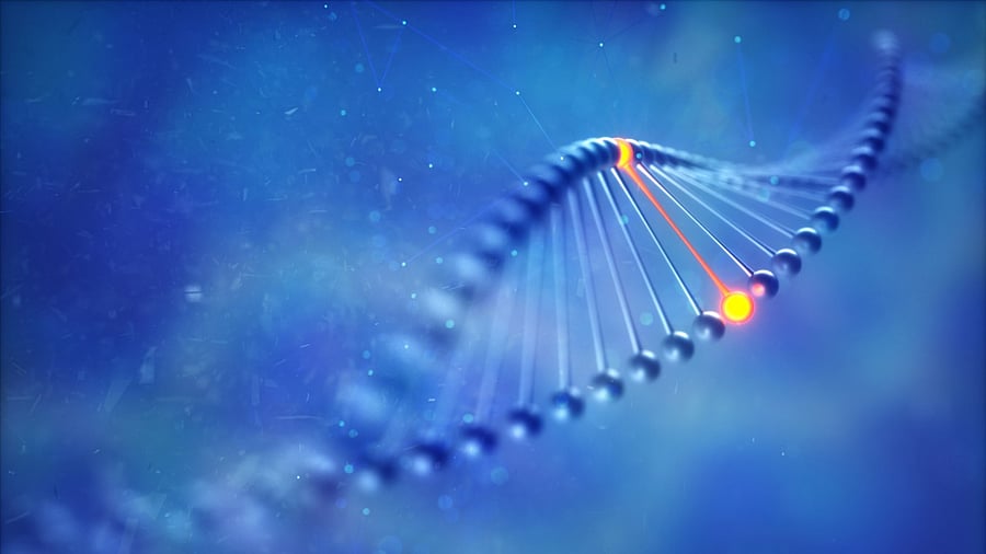 Representative Image. Credit: iStock Photo