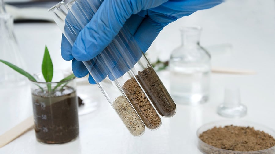 Union Agriculture Minister Narendra Tomar announced awards in various categories on Friday. Credit: iStock Photo