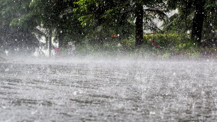 Illustrative Image. Credit: iStock Photo