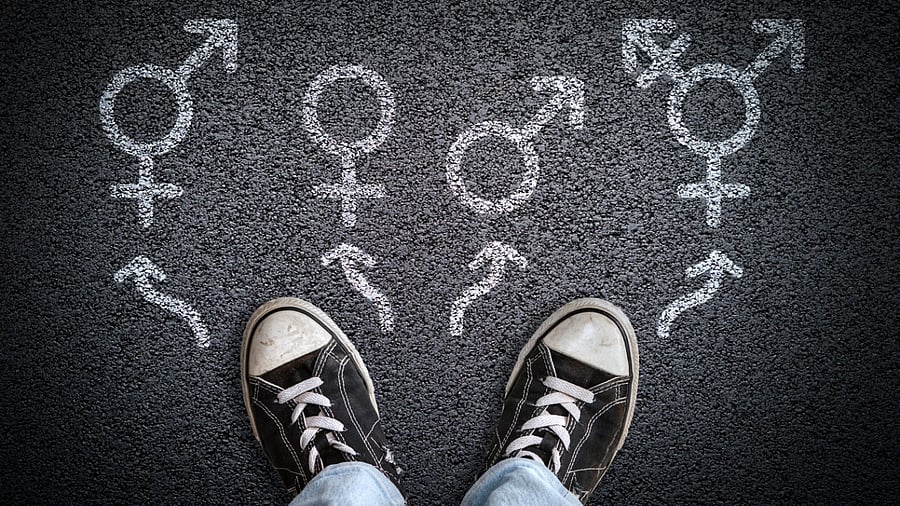 Representative Image. Credit: iStock Photo