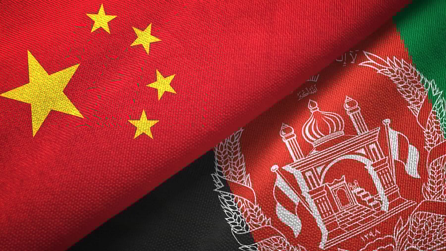 Representative Image. Credit: iStock Images