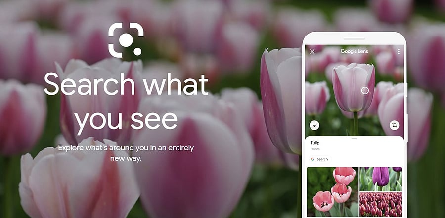 Google Lens feature now available on Google Chrome browser (website screen-shot)