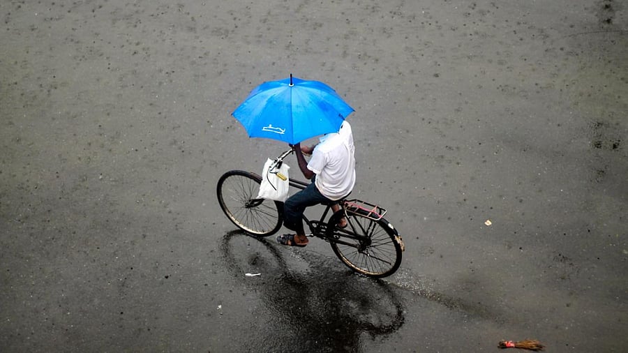 A man holds an umbrella as he rides a bicycle during rain at Bandra in Mumbai. Credit: PTI Photo