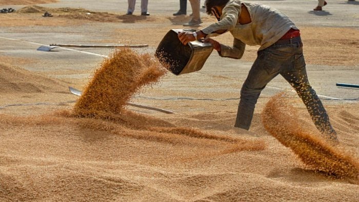 Representative Image. Credit: PTI Photo