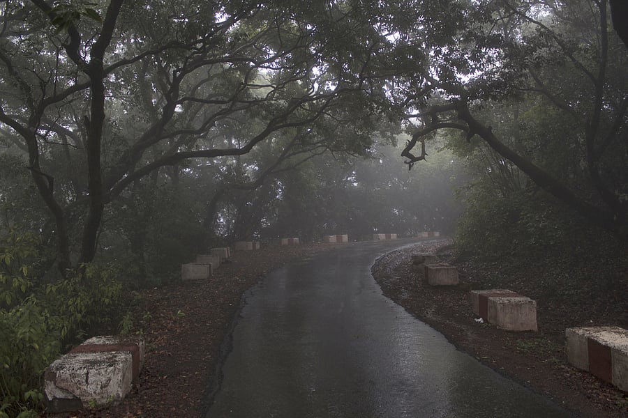 Representative image. Credit: iStock