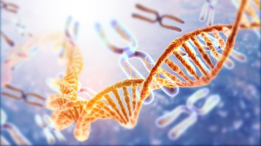 Representative image. Credit: iStock Photo