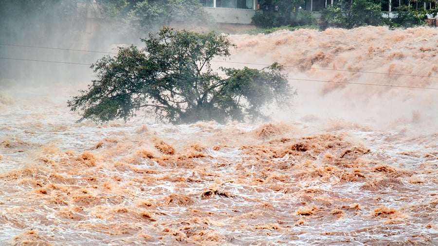 Representative Image. Credit: iStock Photo