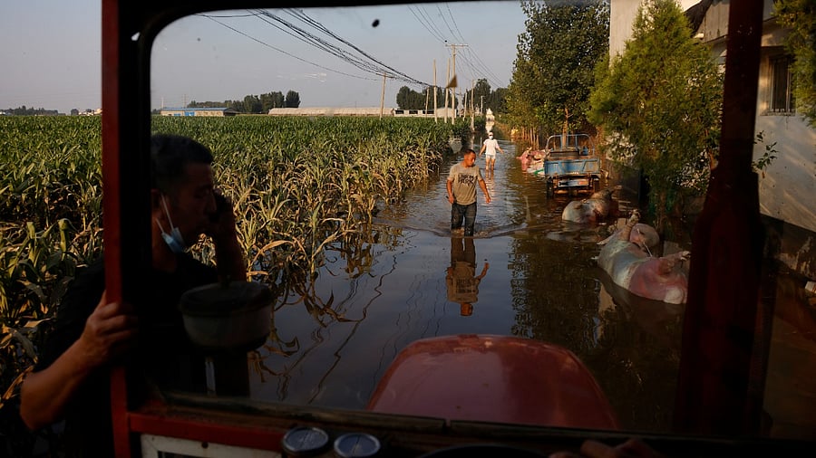 Pig farmer Cheng, 47, wades through floodwaters past pig carcasses next to a farmland following heavy rainfall in Wangfan village of Xinxiang, China. Credit: Reuters Photo
