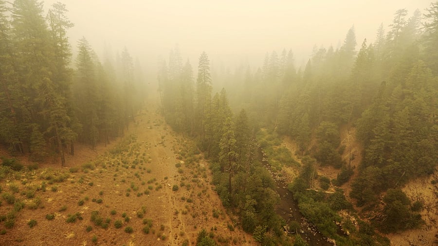 Ash from the Dixie Fire falls over Spanish Creek, California. Credit: Reuters photo