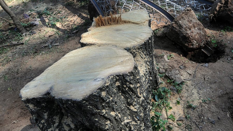 Representative image. Credit: DH file photo