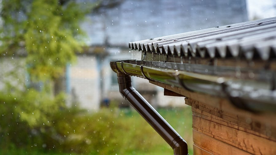 Representative image. Credit: iStock