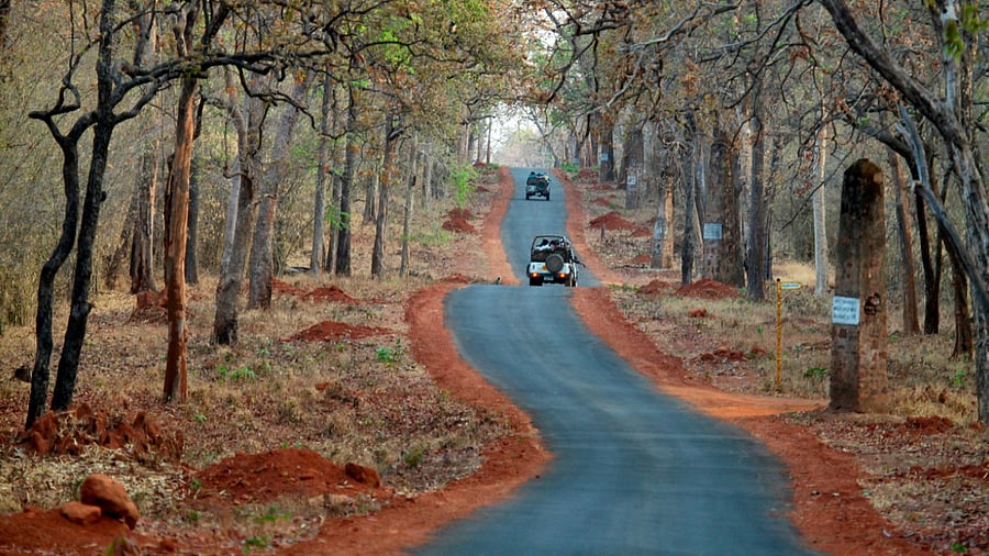 Representative Image. Credit: iStock Photo