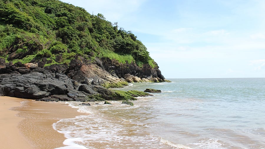 Representative Image. Credit: DH File Photo