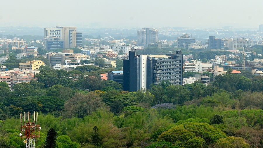 Representative Image. Credit: iStock Photo