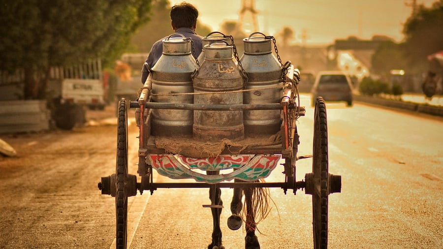 Representative Image. Credit: iStock Photo