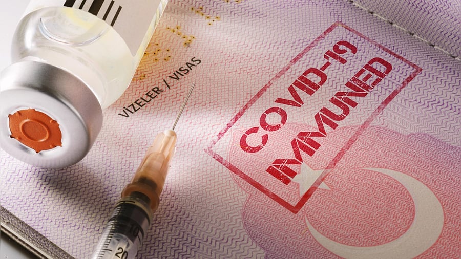 Representative Image. Credit: iStock Photo