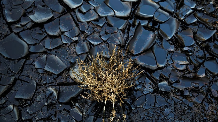 Representative image. Credit: Reuters File Photo