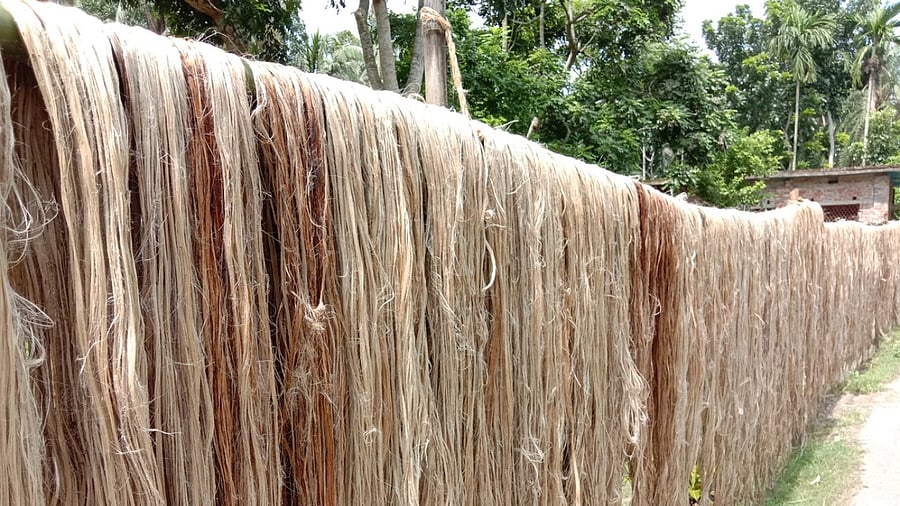 Representative image. Credit: iStock Photo