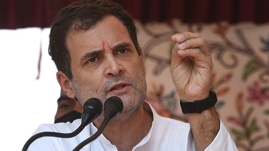 Congress leader Rahul Gandhi. Credit: PTI Photo