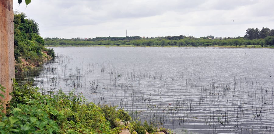 Representative image. Credit: DH Photo