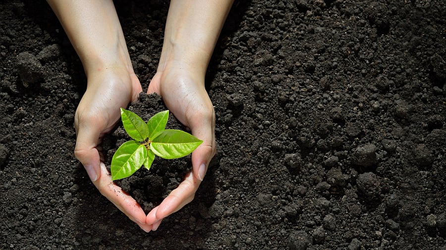 Representative image. Credit: iStock Photo