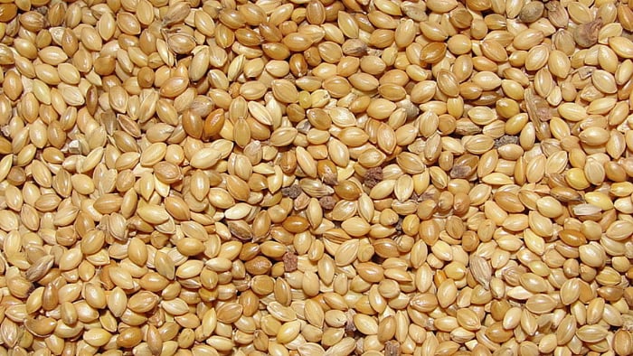 Credit: https://commons.wikimedia.org/ Thamizhpparithi Maari Photo