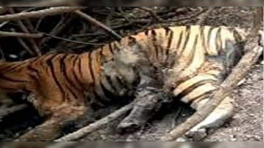 Credit: DH Special Arrangement