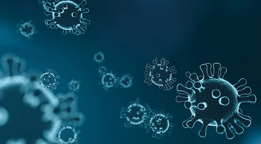 Representational Image--Two die of Covid-19 in Dakshina Kannada. Picture credit: Pixabay