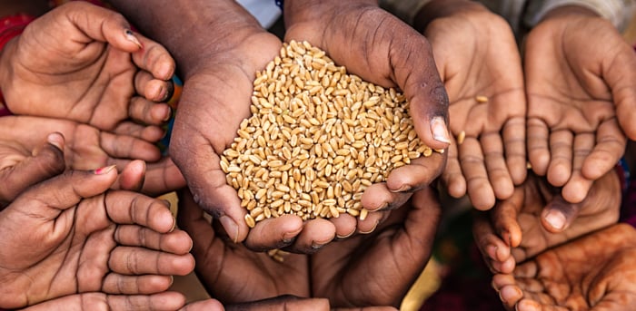 Representative image. Credit: iStock Photo