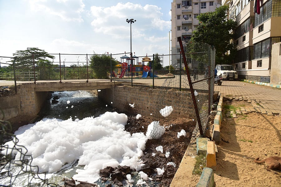 Credit: DH File Photo