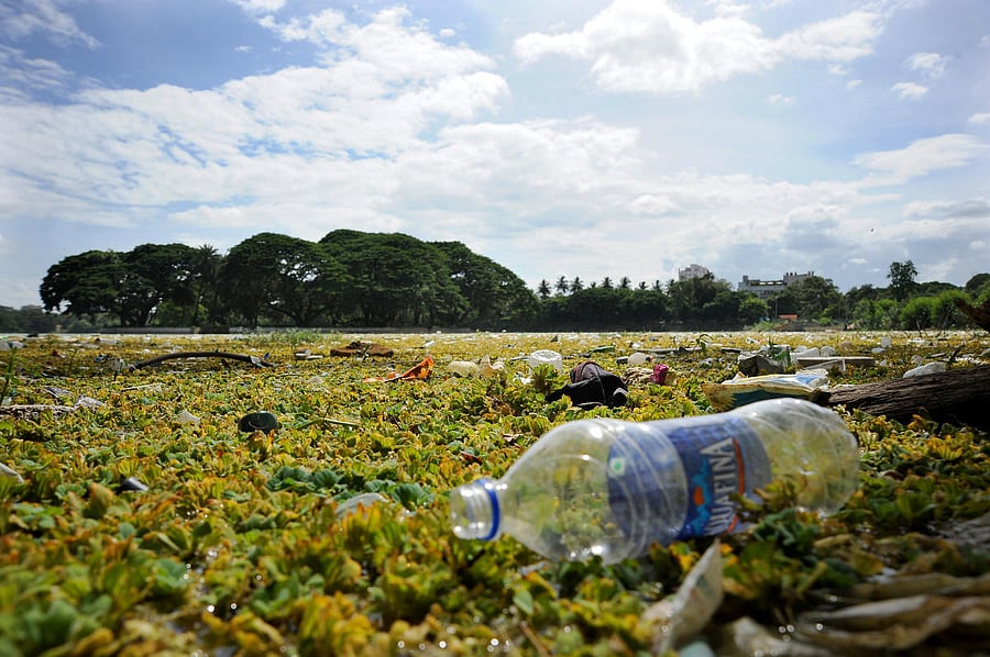 Plastic and other waste lines Halasuru lake. Experts suspect we end up consuming microplastic particles when we use plastic containers for food. DH Photo by Pushkar V