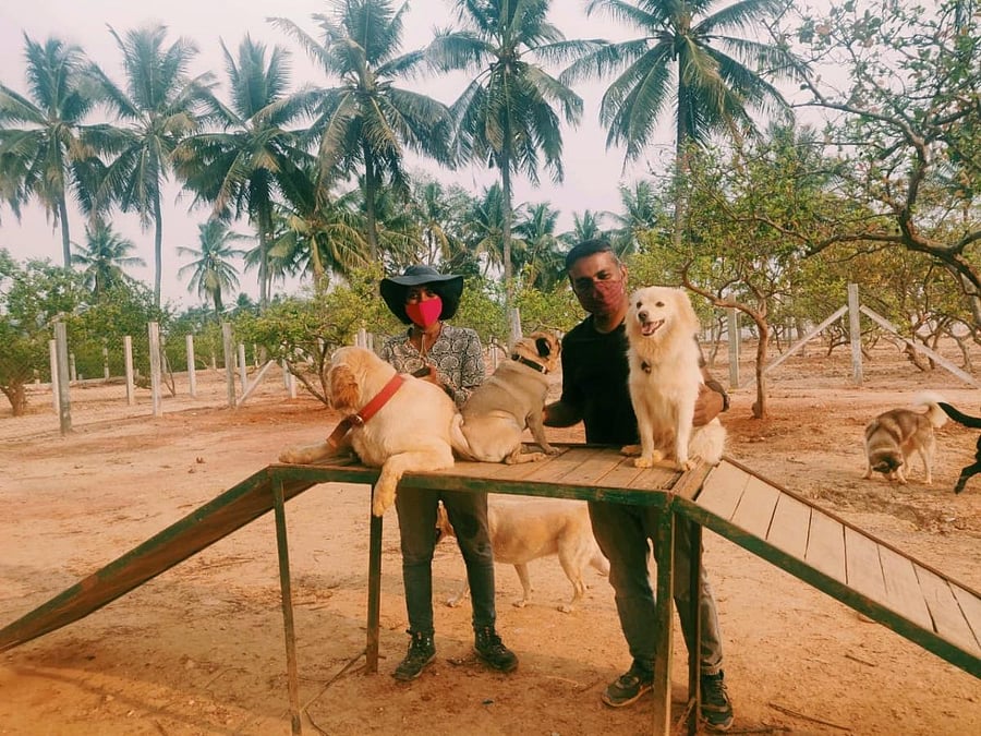 Many boarding homes like Wag-ville, Jakkur, have been housing dogs with Covid-positive parents. (Above) Kishan Vasudevan with Subhadra Cherukuri.