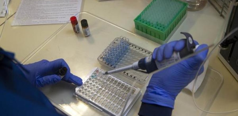 The RT-PCR test report should not be older than 72 hours, Additional Chief Secretary Health Jawaid Akhtar, Karnataka, said in an order. Credit: Getty Images