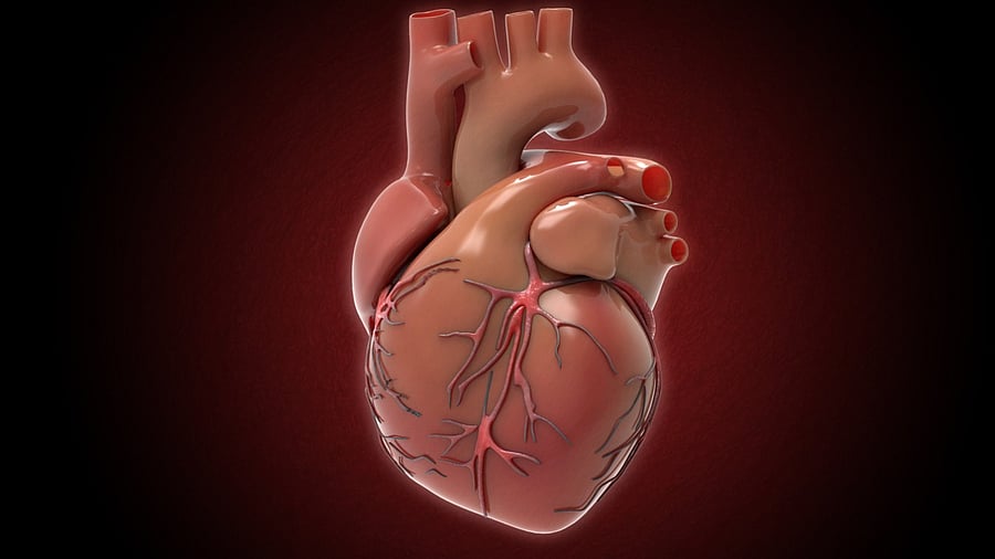 Representative Image. Credit: iStock Photo