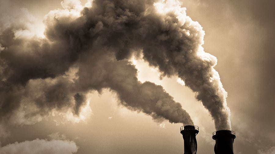 Representative image. Credit: iStock Photo