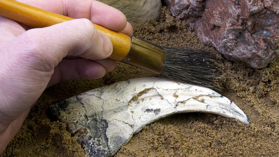 Representative Image. Credit: iStock Photo