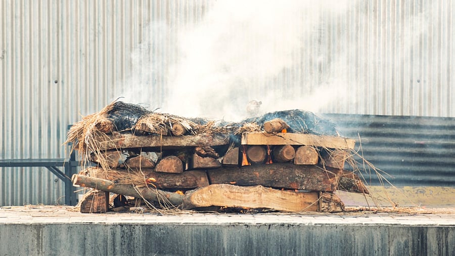 Representative Image. Credit: iStock Photo