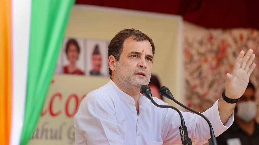 Congress leader Rahul Gandhi. Credit: PTI Photo