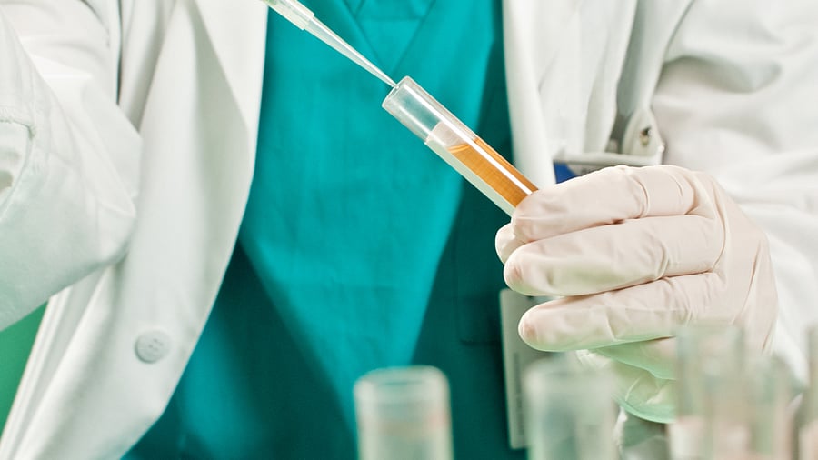 Positive tests will lead to an employee being 'immediately removed from the safety-sensitive duty till a confirmatory report is received'. Credit: iStock images