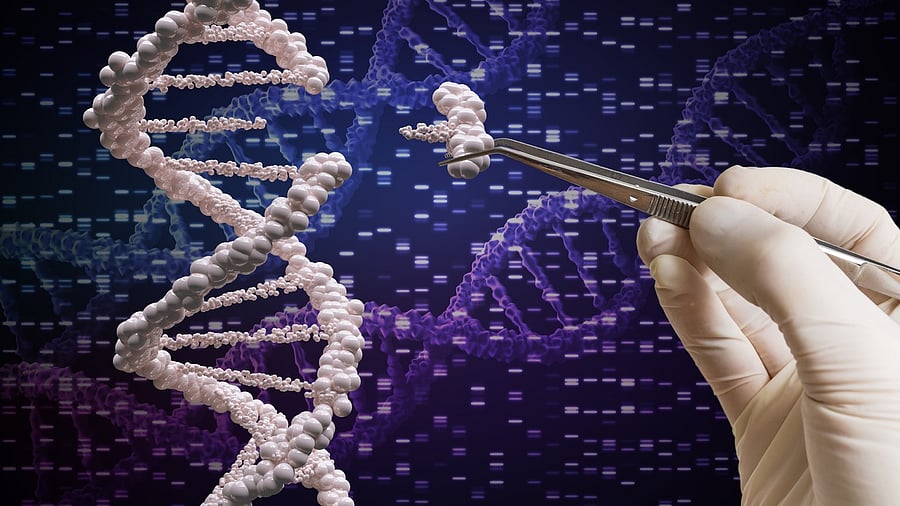 Representative Image. Credit: iStock Photo