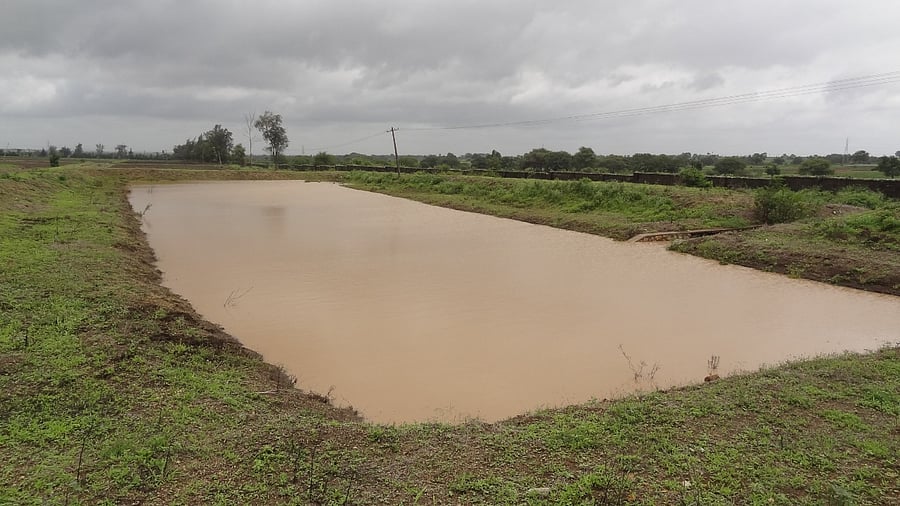 Representative Image. Credit: DH File Photo